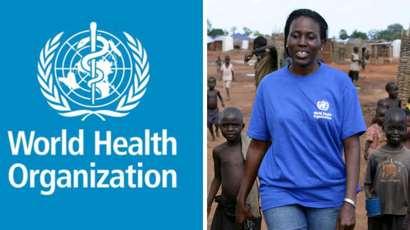 Human Resources Officer At The World Health Organization [WHO] (May